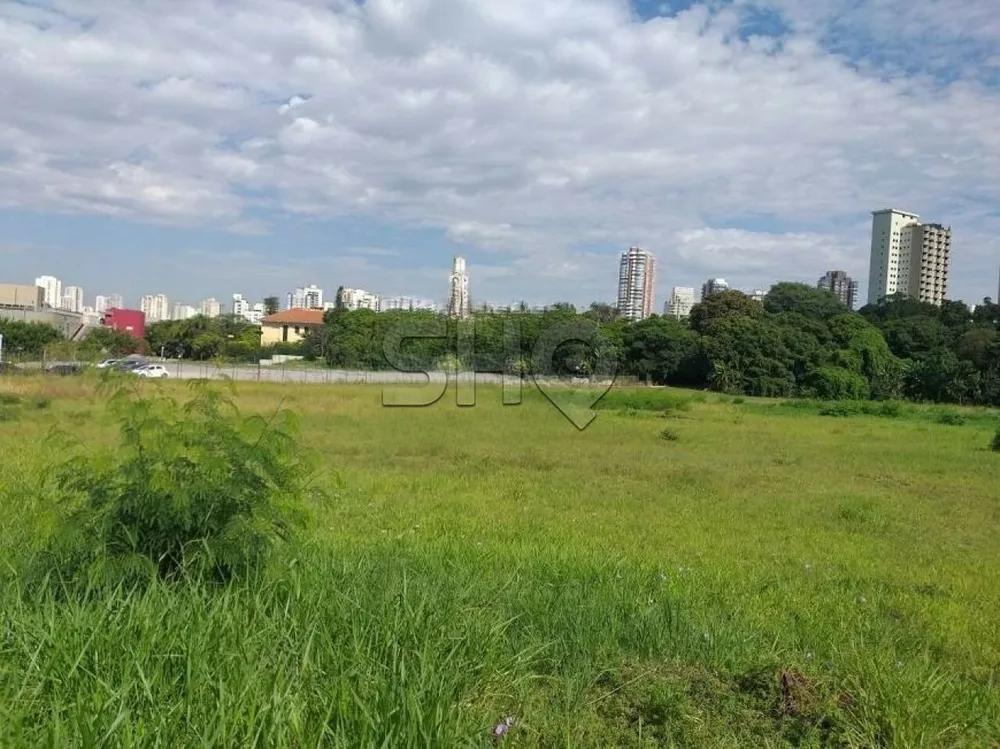 Terreno, 2 hectares - Foto 6