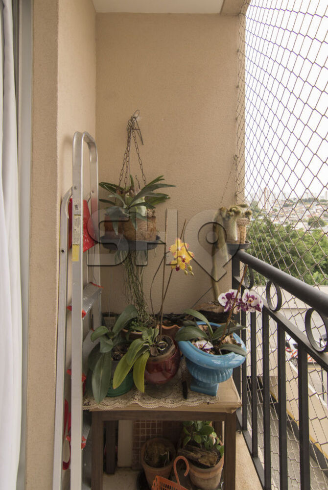 Apartamento, 3 quartos, 60 m² - Foto 1