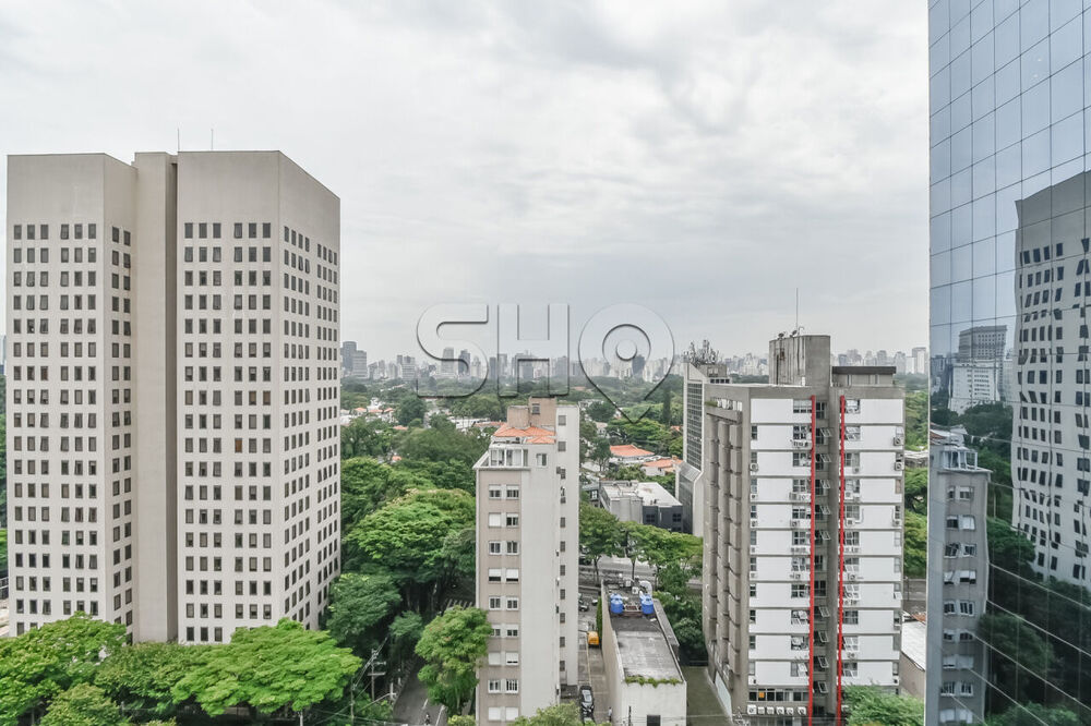 Cobertura, 3 quartos, 247 m² - Foto 6