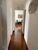 Apartamento, 3 quartos, 88 m² - Foto 3
