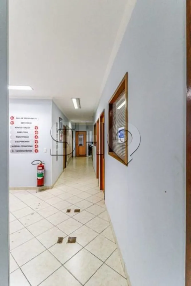 Sala-Conjunto, 441 m² - Foto 4