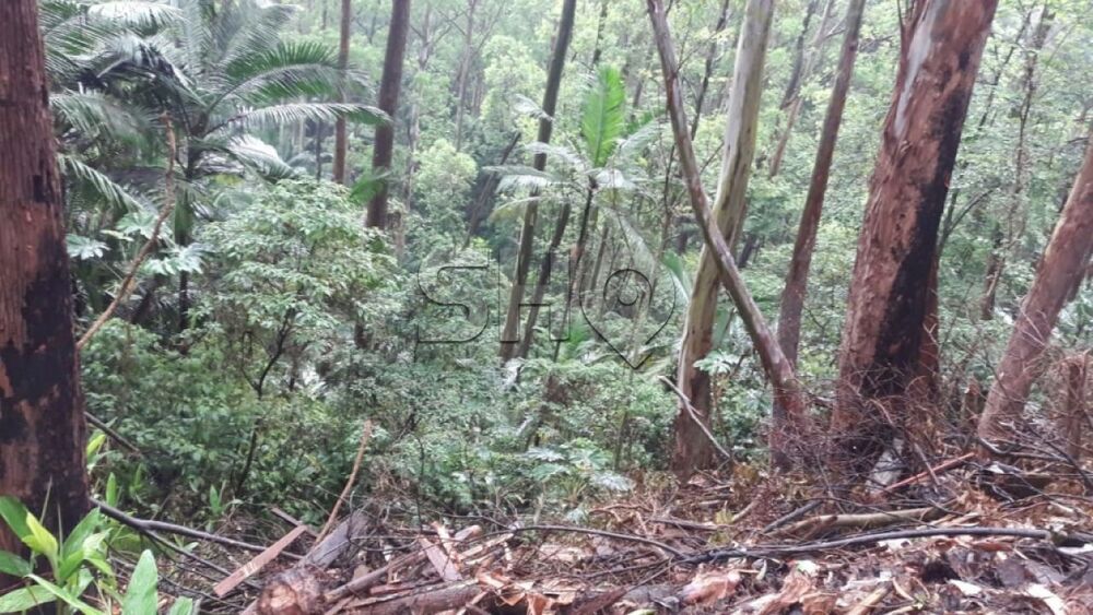 Terreno, 3350 m² - Foto 3