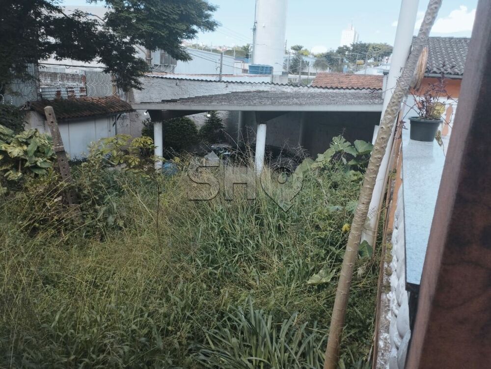 Casa à venda e aluguel com 3 quartos, 870m² - Foto 4