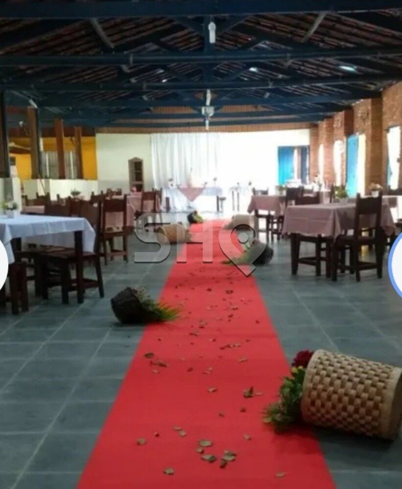 Fazenda, 133 hectares - Foto 7