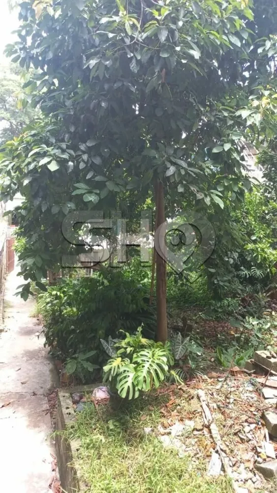 Casa, 6 quartos, 450 m² - Foto 6
