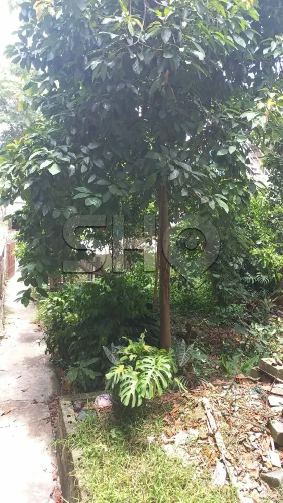 Casa, 6 quartos, 450 m² - Foto 1