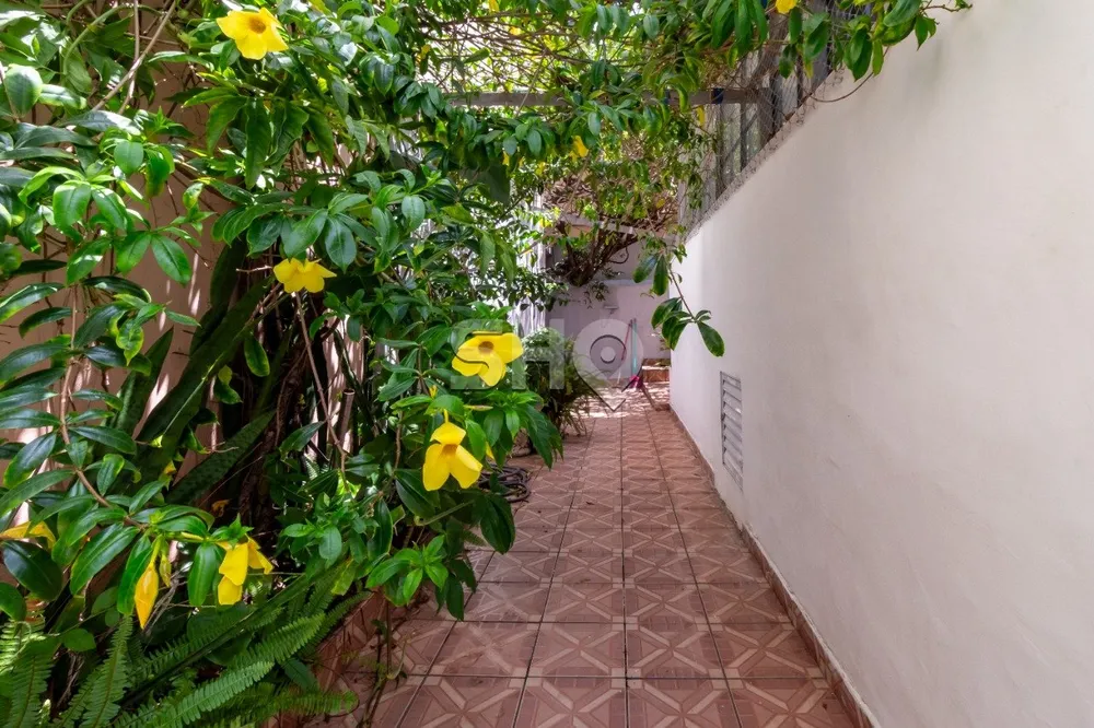 Casa, 3 quartos, 180 m² - Foto 28