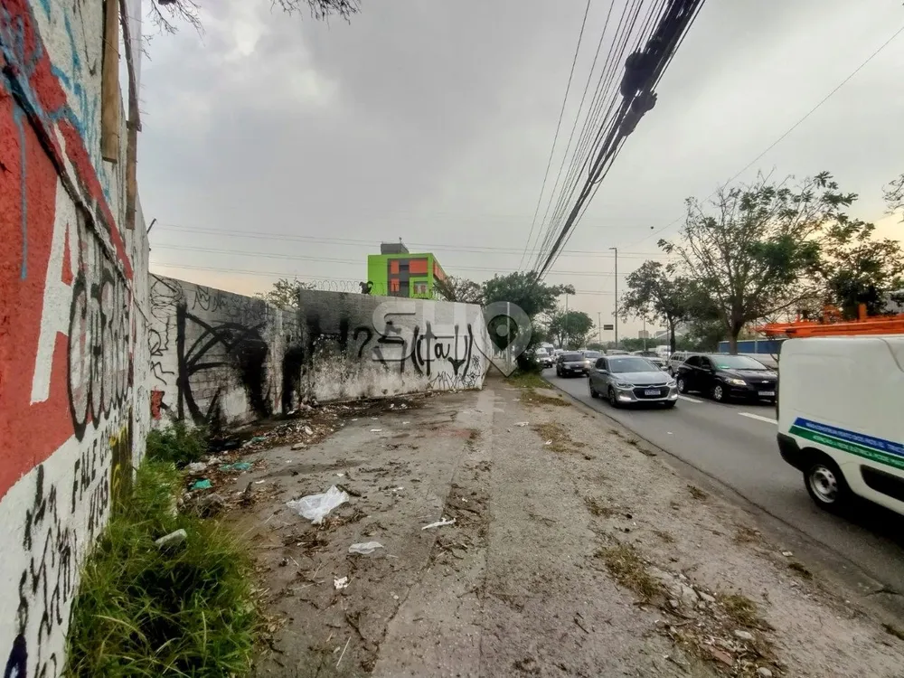 Terreno, 10000 m² - Foto 4