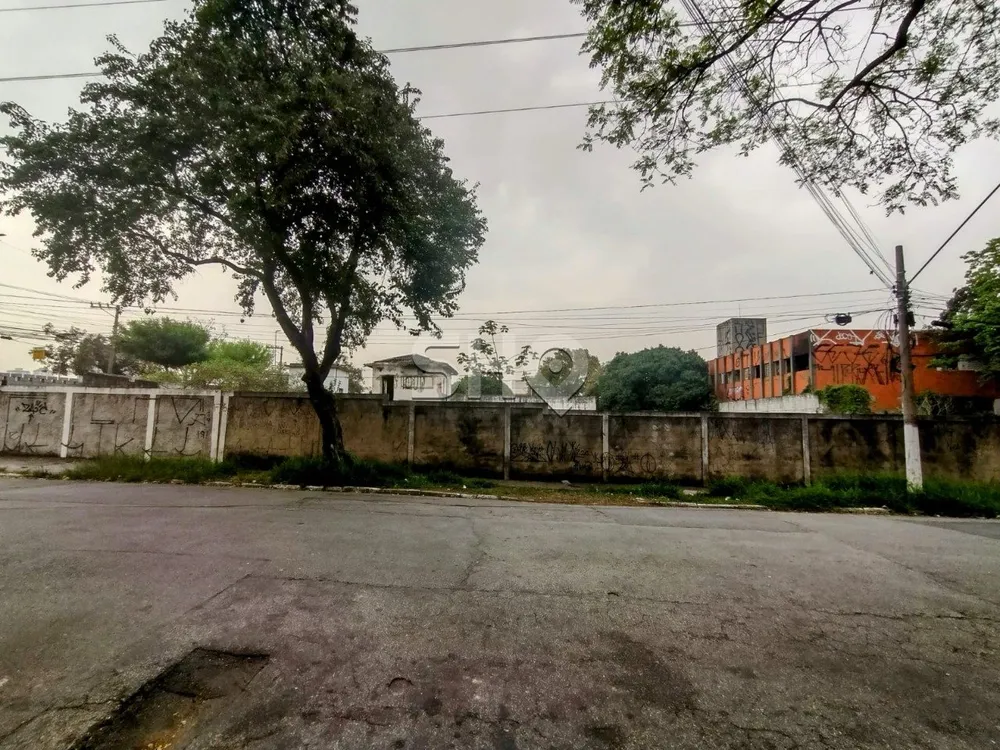 Terreno, 10000 m² - Foto 8