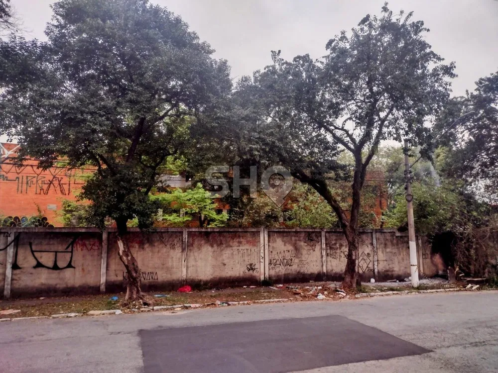 Terreno, 10000 m² - Foto 10
