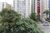 Apartamento, 3 quartos, 186 m² - Foto 3