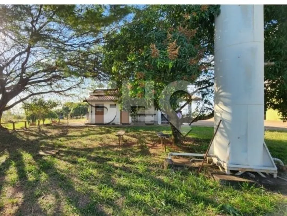 Terreno, 4 hectares - Foto 14