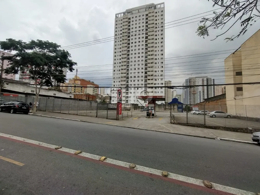 Terreno, 6000 m² - Foto 10