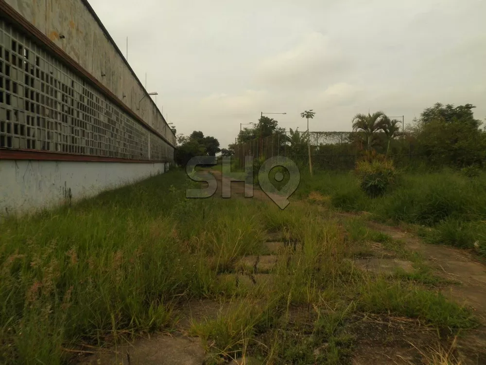 Terreno, 2 hectares - Foto 4