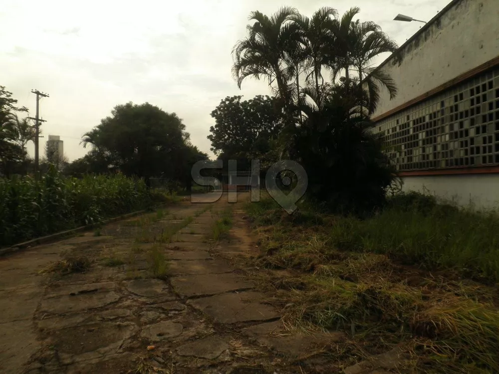 Terreno, 2 hectares - Foto 3