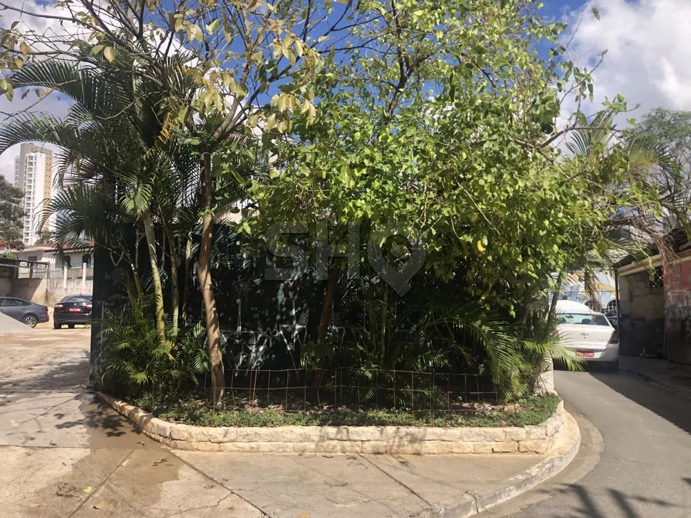 Terreno, 1127 m² - Foto 2