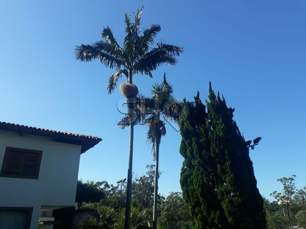 Casa, 5 quartos, 850 m² - Foto 16