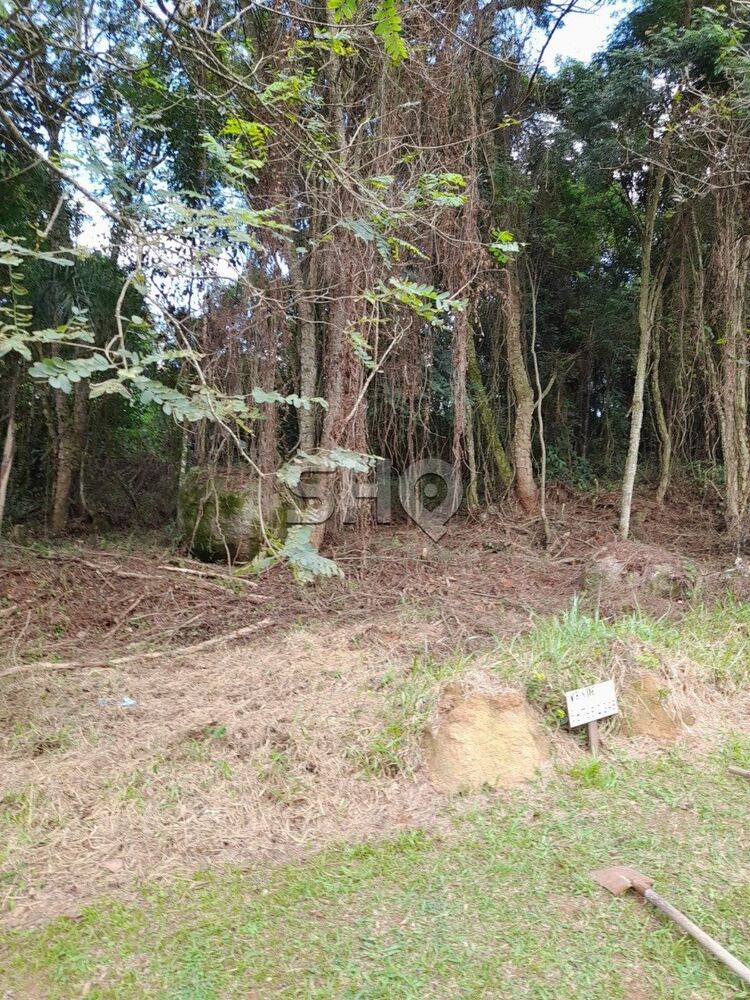 Terreno, 410 m² - Foto 7