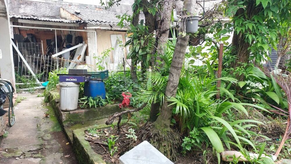 Terreno, 498 m² - Foto 3