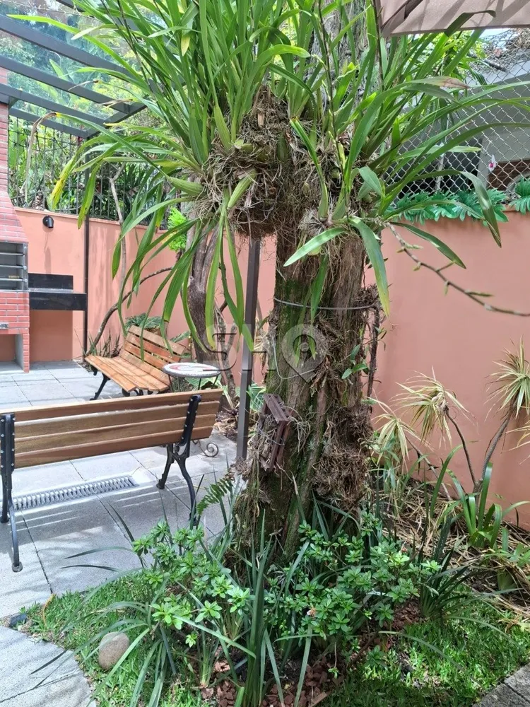 Casa, 3 quartos, 230 m² - Foto 15