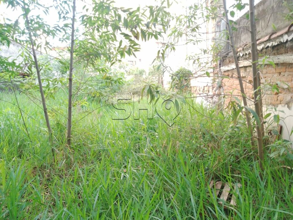 Terreno à venda, 492 - Foto 3