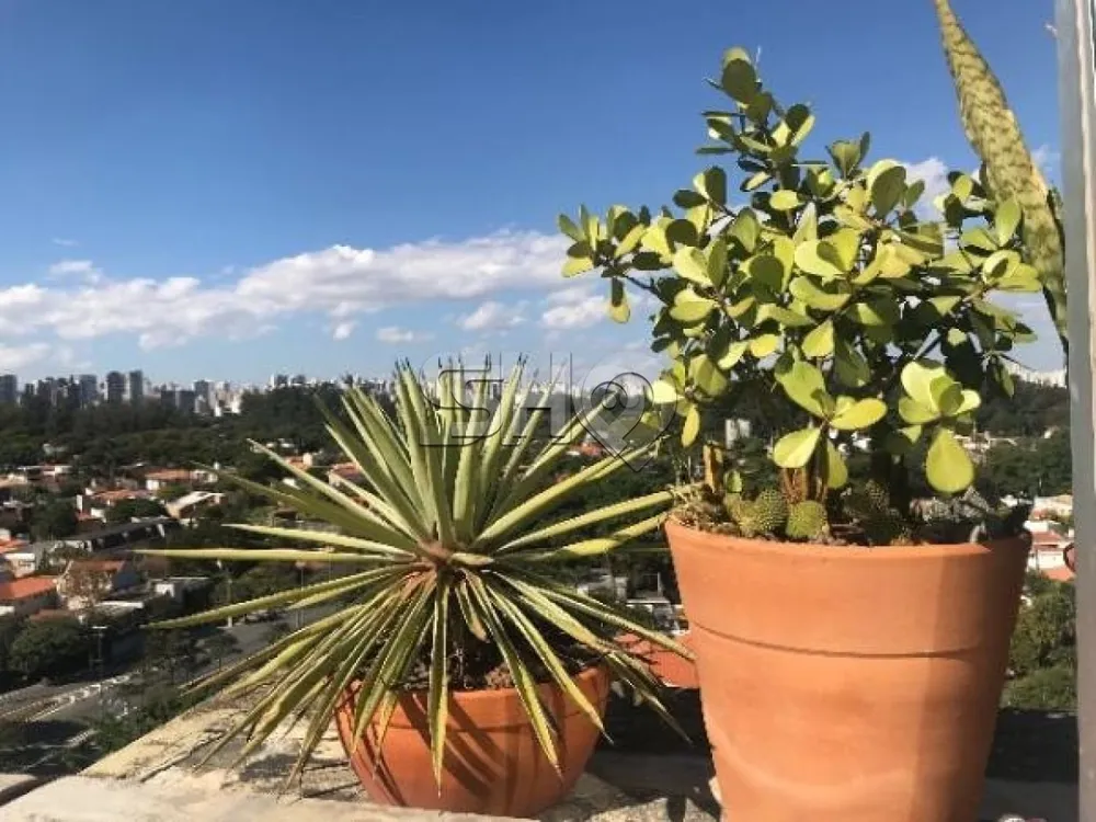 Cobertura, 3 quartos, 350 m² - Foto 7