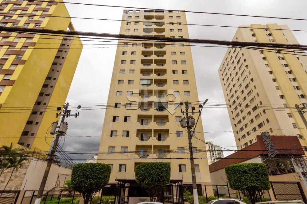 Apartamento, 3 quartos, 90 m² - Foto 12