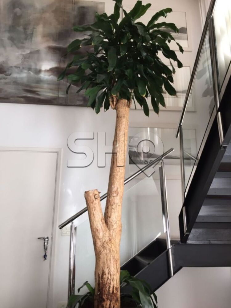 Apartamento, 3 quartos, 180 m² - Foto 10