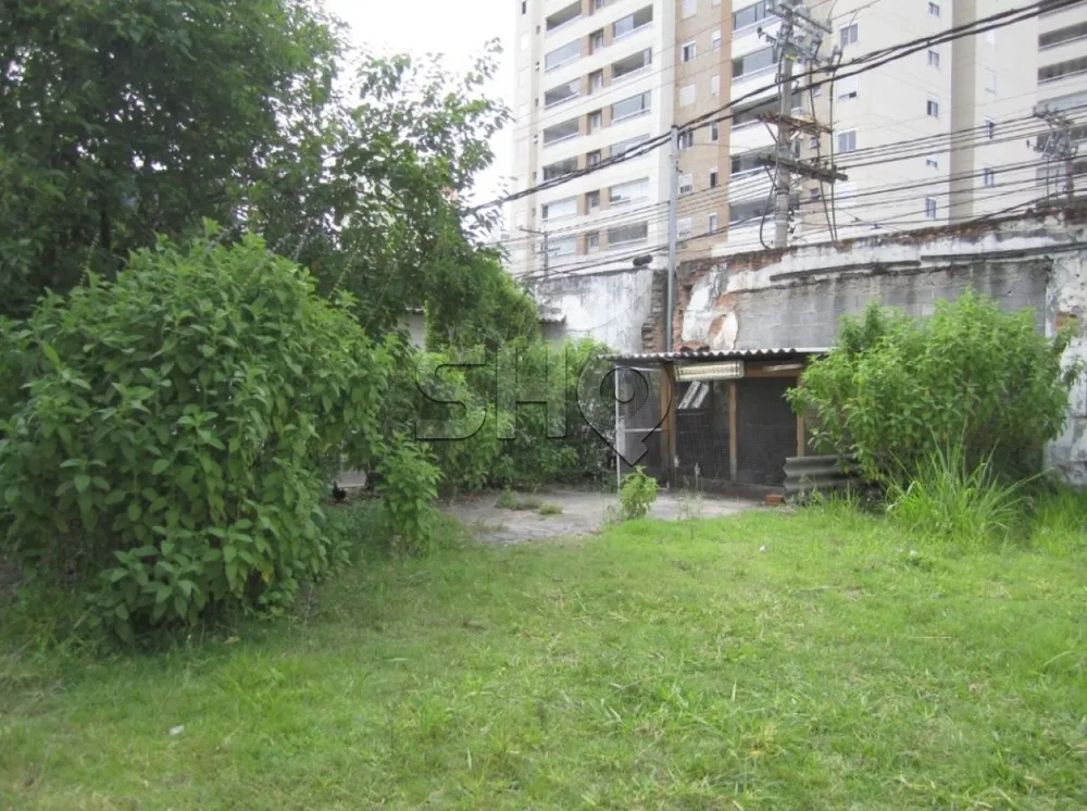 Terreno, 3000 m² - Foto 2