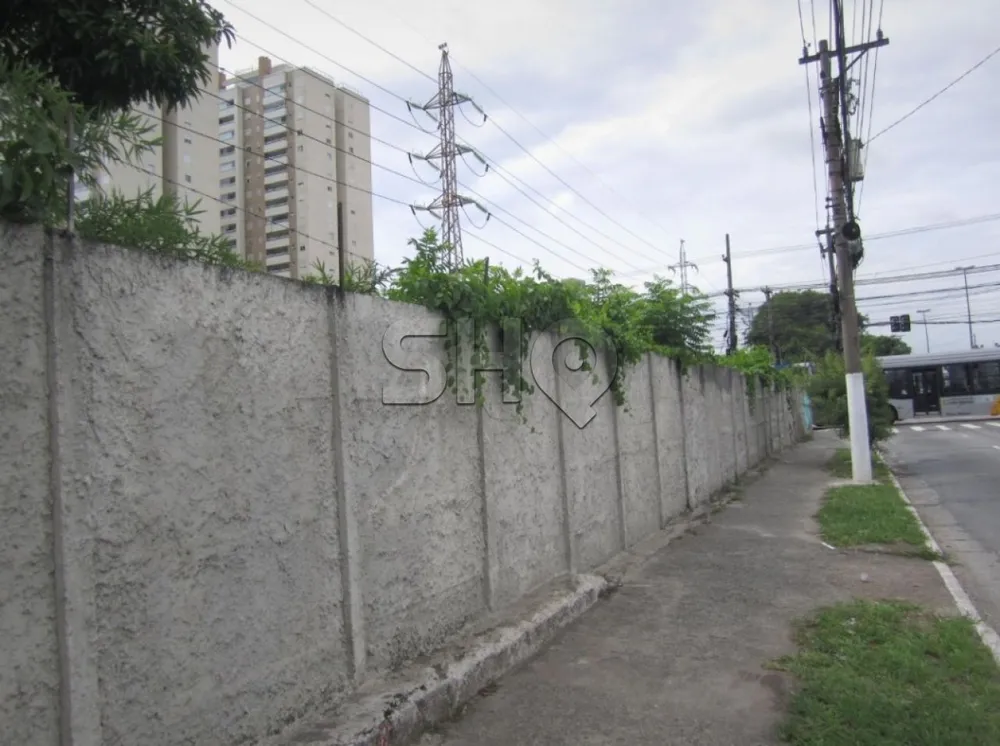 Terreno, 3000 m² - Foto 4