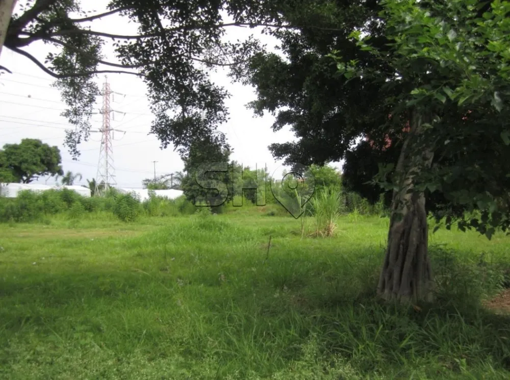 Terreno, 3000 m² - Foto 1