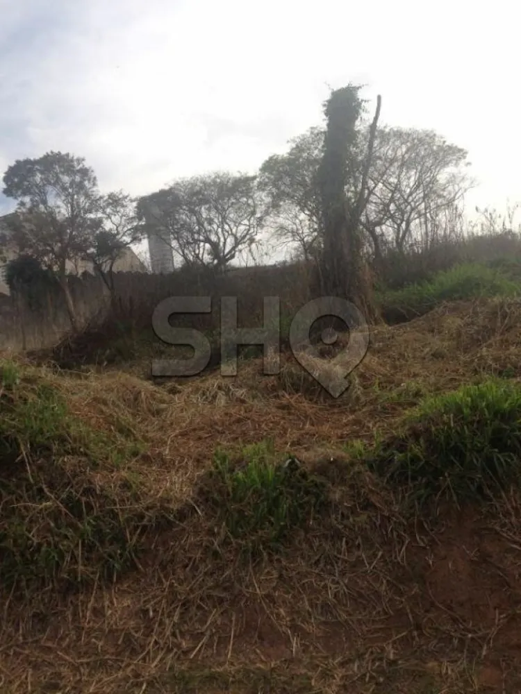 Terreno, 3 hectares - Foto 3
