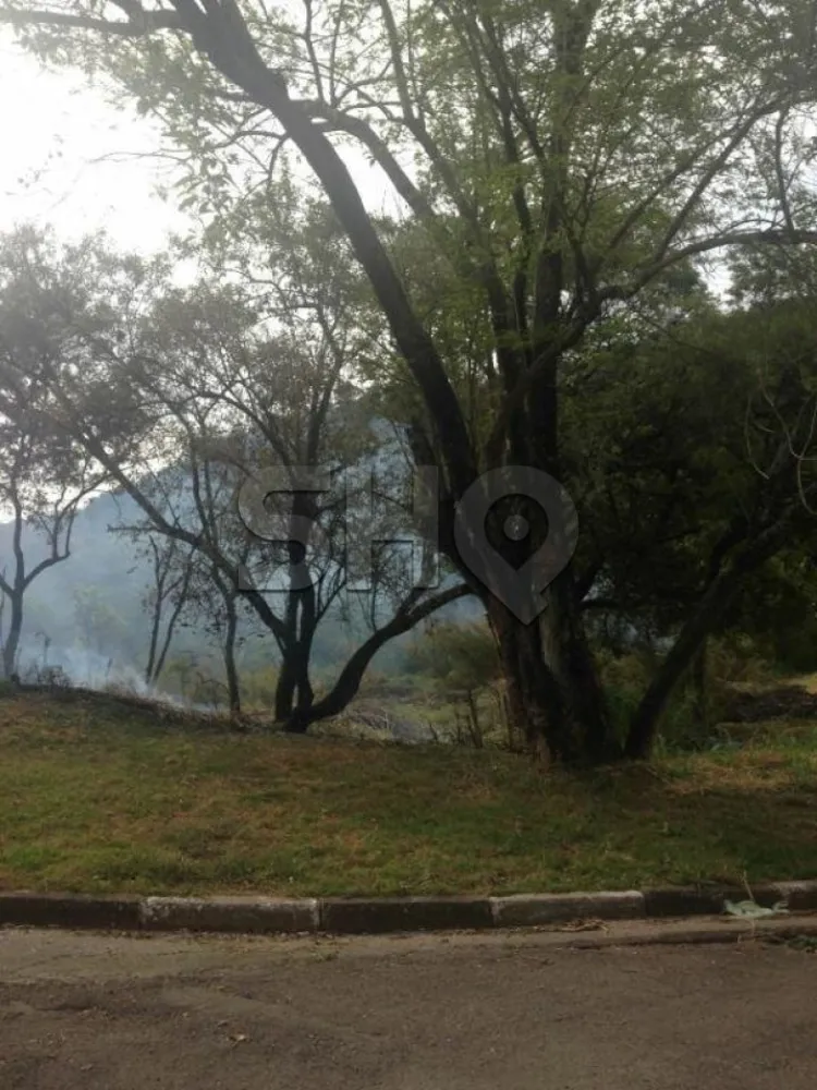 Terreno, 3 hectares - Foto 6