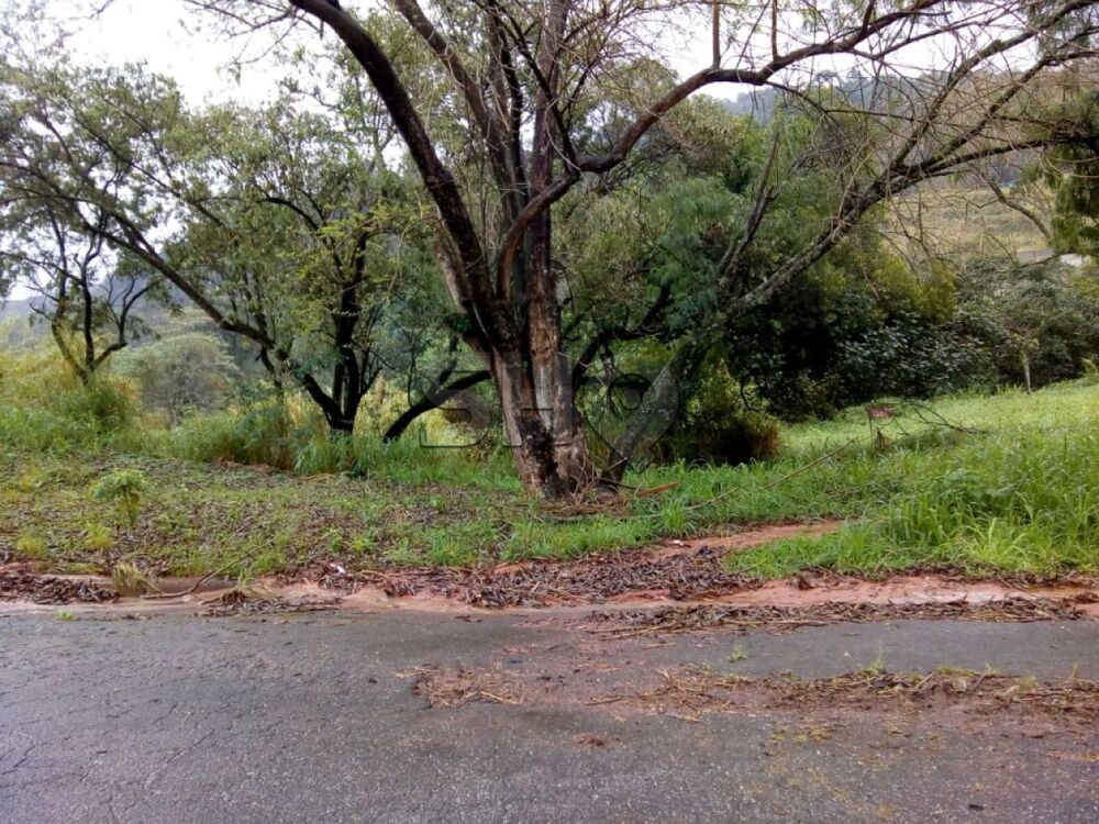 Terreno, 3 hectares - Foto 3