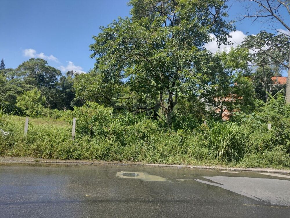 Terreno, 8000 m² - Foto 2