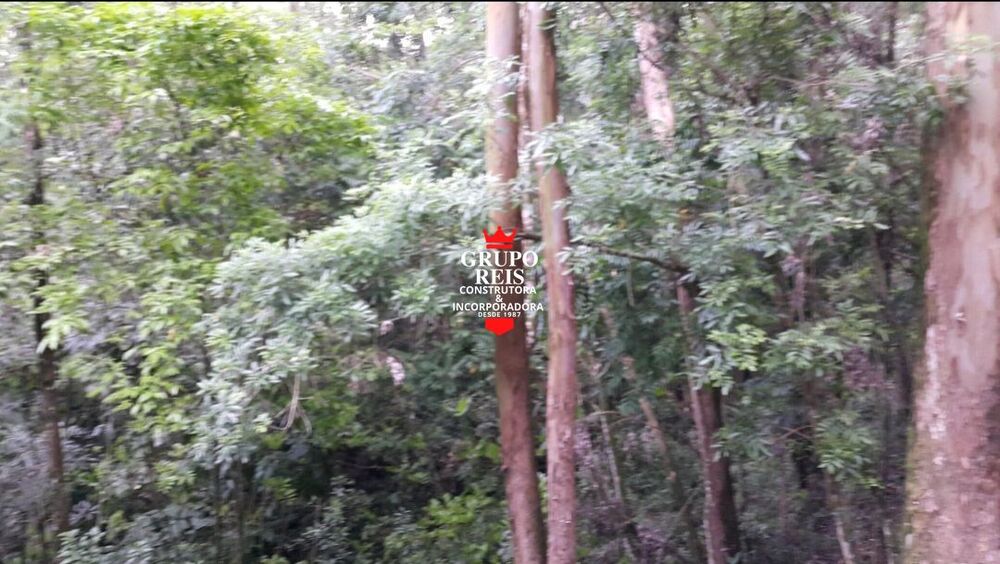 Terreno, 266 m² - Foto 8