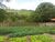 Terreno, 500 m² - Foto 4