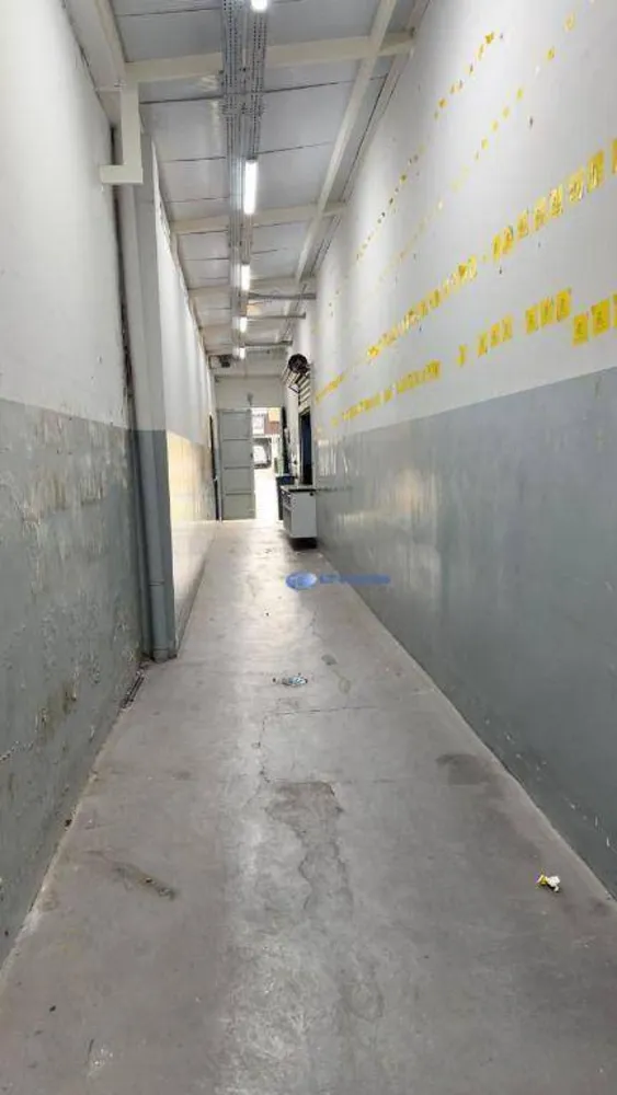 Loja-Salão, 1000 m² - Foto 3