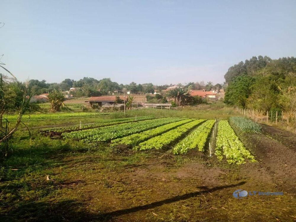 Chácara, 2 quartos, 2 hectares - Foto 5