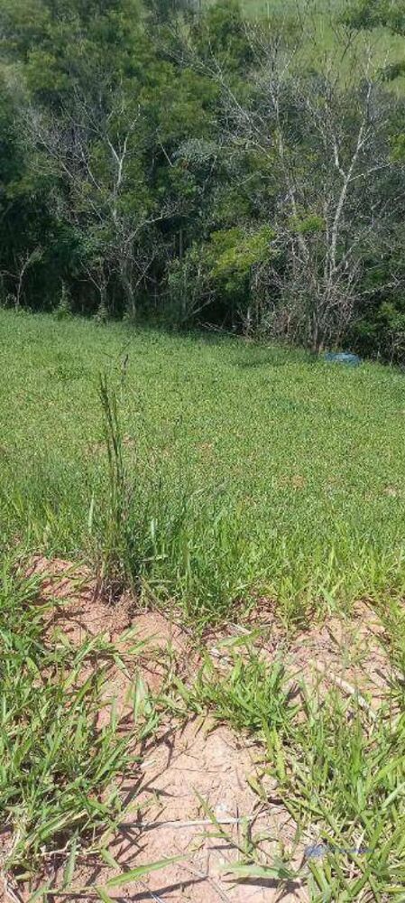 Terreno, 753 m² - Foto 2