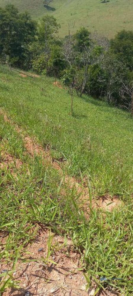 Terreno, 753 m² - Foto 4