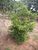 Terreno, 1100 m² - Foto 3