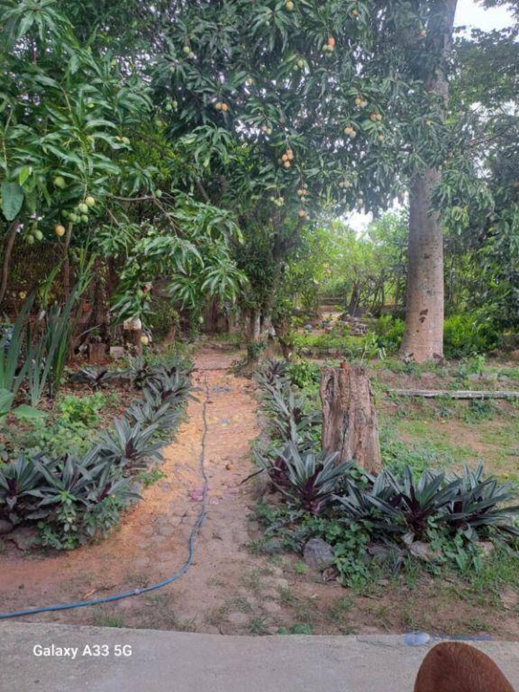 Casa à venda com 2 quartos, 131m² - Foto 2