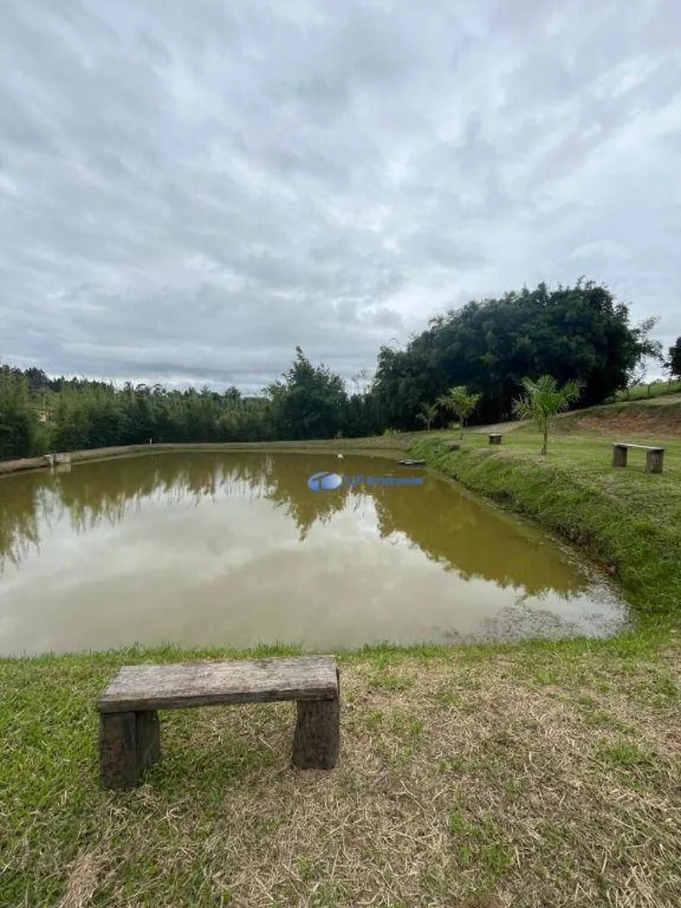 Chácara, 4 quartos, 8000 m² - Foto 4