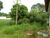 Terreno, 1600 m² - Foto 2