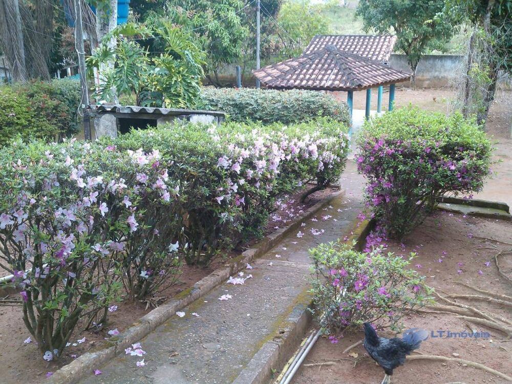 Sítio, 3 quartos, 6000 m² - Foto 3