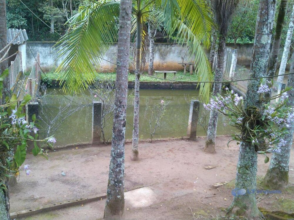 Sítio, 3 quartos, 6000 m² - Foto 4