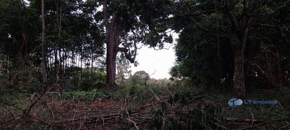 Terreno, 5800 m² - Foto 1