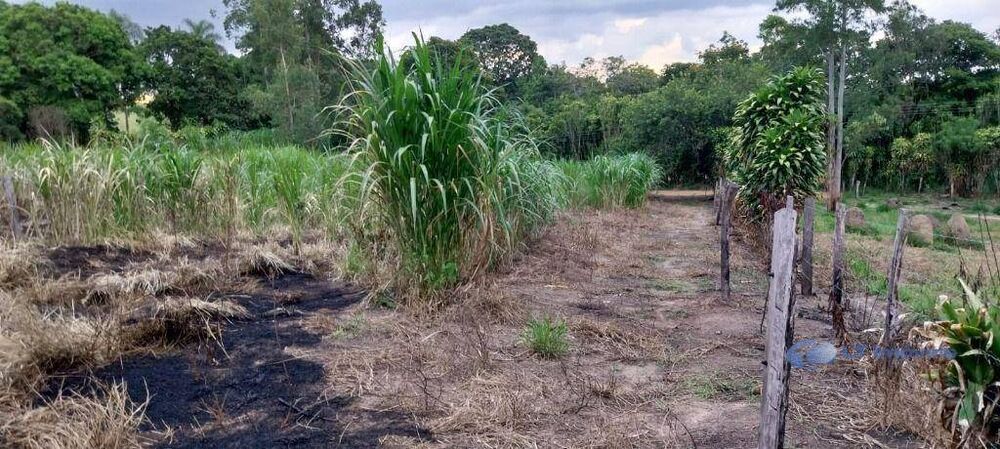 Terreno, 5800 m² - Foto 4