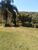 Sítio, 62 hectares - Foto 4